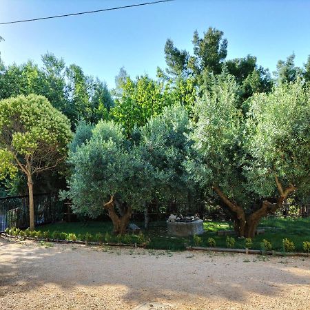 B&B San Valentino Mafalda Экстерьер фото